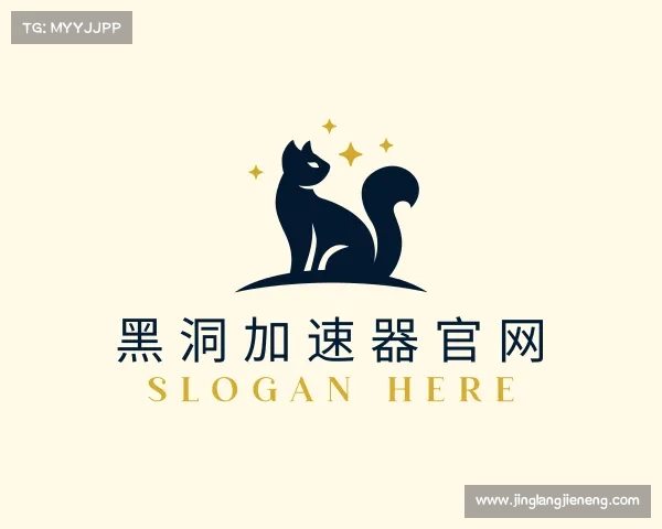 知道黑洞加速器官网